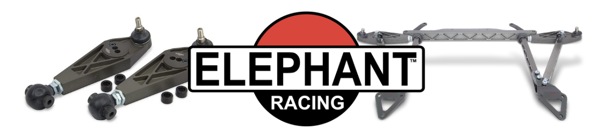 Elephant Racing