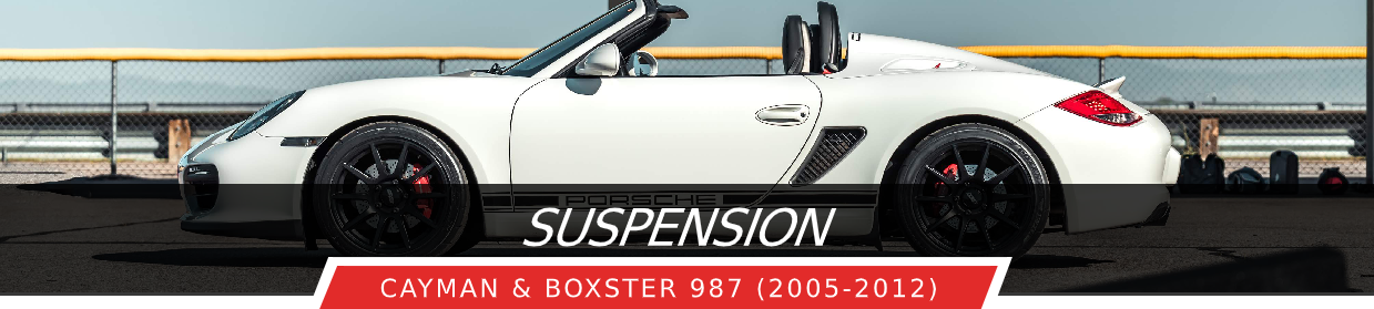 987 Suspension