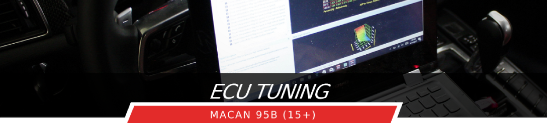 Macan ECU Tuning - Flat 6 Motorsports