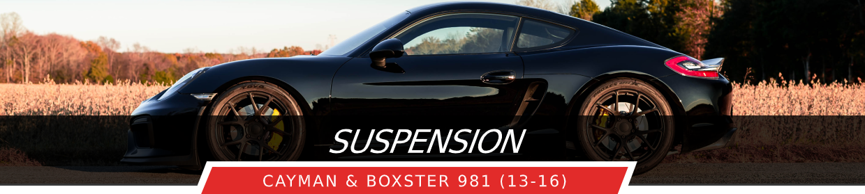 981 Suspension
