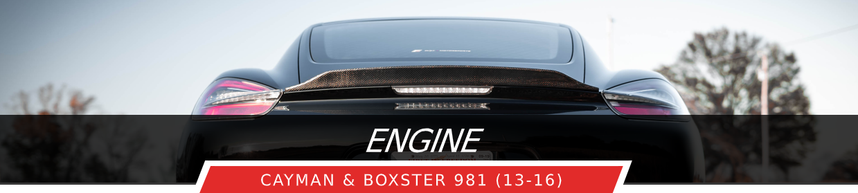 981 Engine