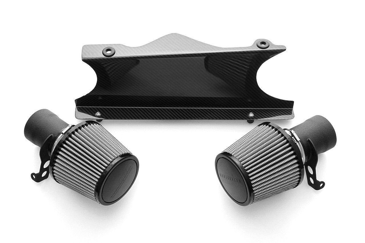 Fabspeed Carbon Fiber Competition Air Intake Replacement Air Filter